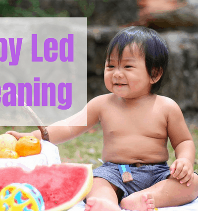 Baby Led Weaning first foods