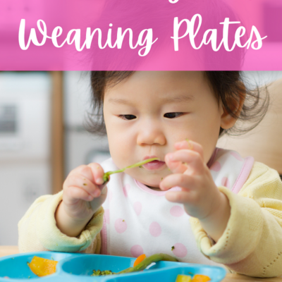 Best Baby Led Weaning Plates