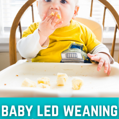 Baby Led Weaning First Foods